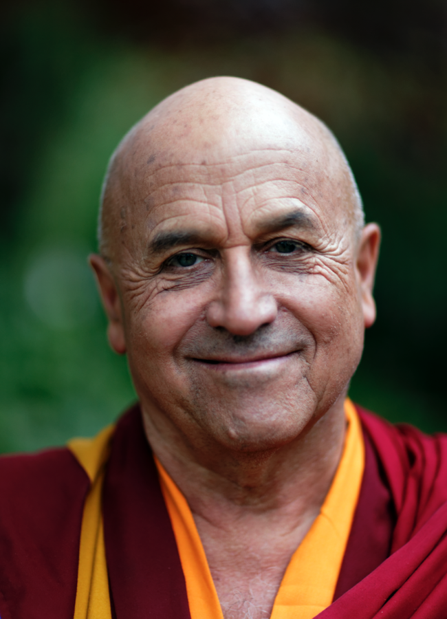matthieu ricard le magazine article