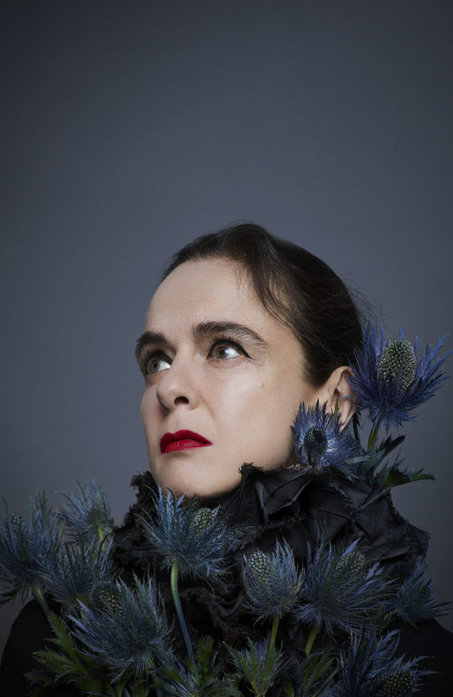 amelie nothomb le magazine article