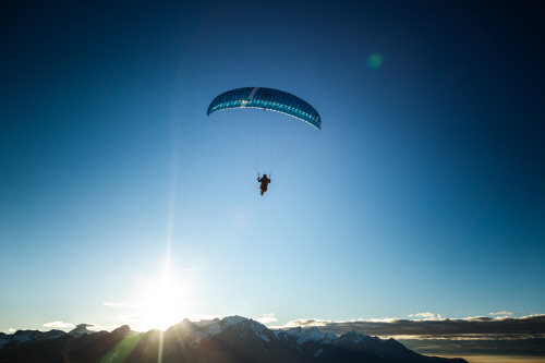 2021. Passe-moi les jumelles