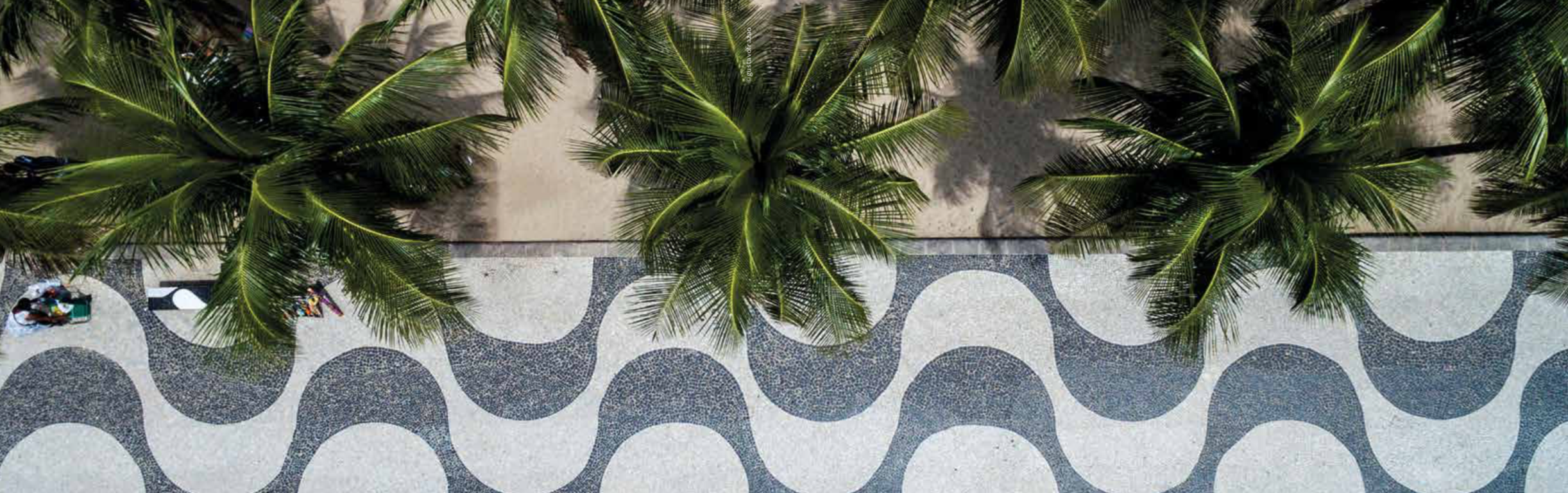 rio architecture le magazine article