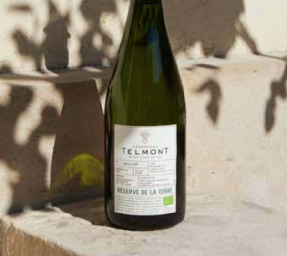 Belmont article le magazine