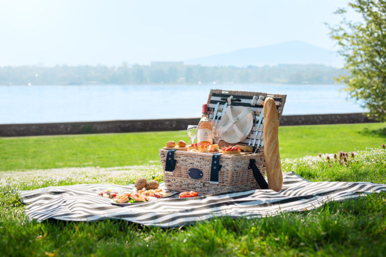 Picnic offer Geneva 6