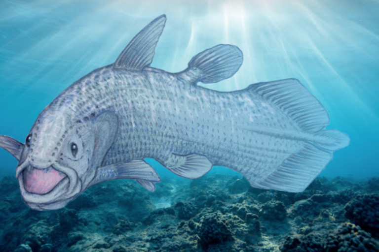 Capture d’écran 2022-10-05 à 15.00.41